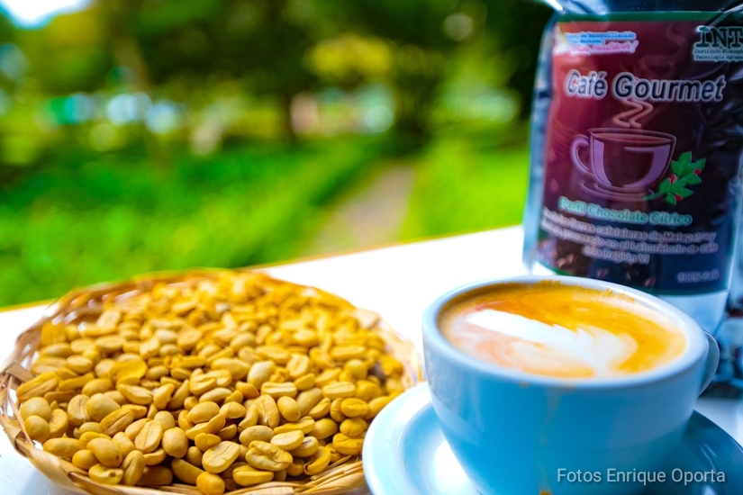 cafe-taza-excelencia