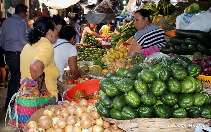 feria-descuento-mercado