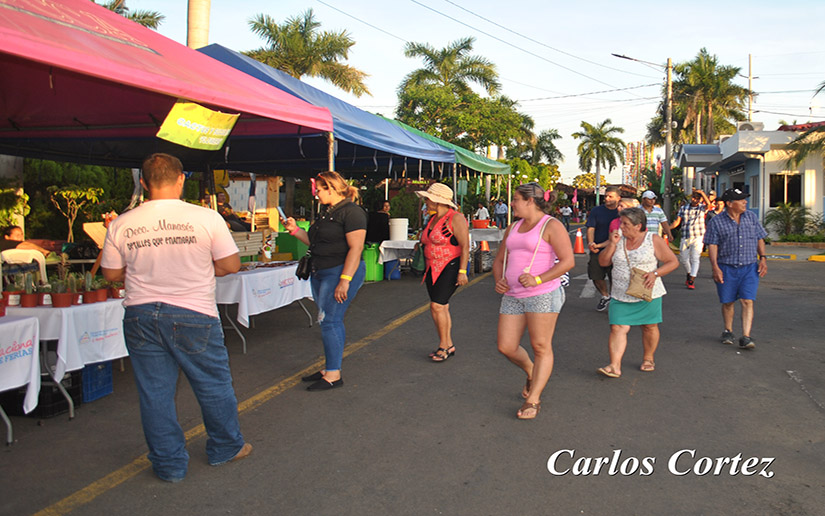 expo-exotica