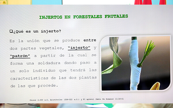 inafor realiza simposio en t&eacute;cnicas de enjertaci&oacute;n
