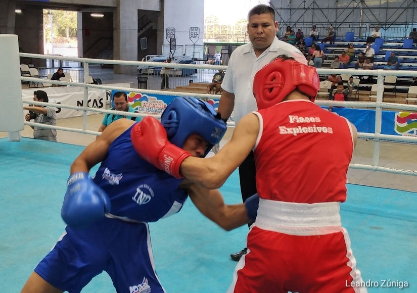 boxeo
