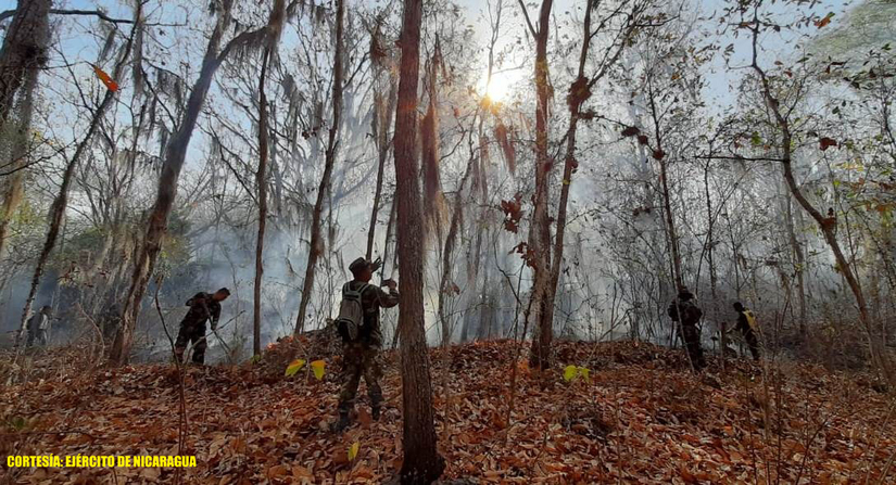 incendio-forestal
