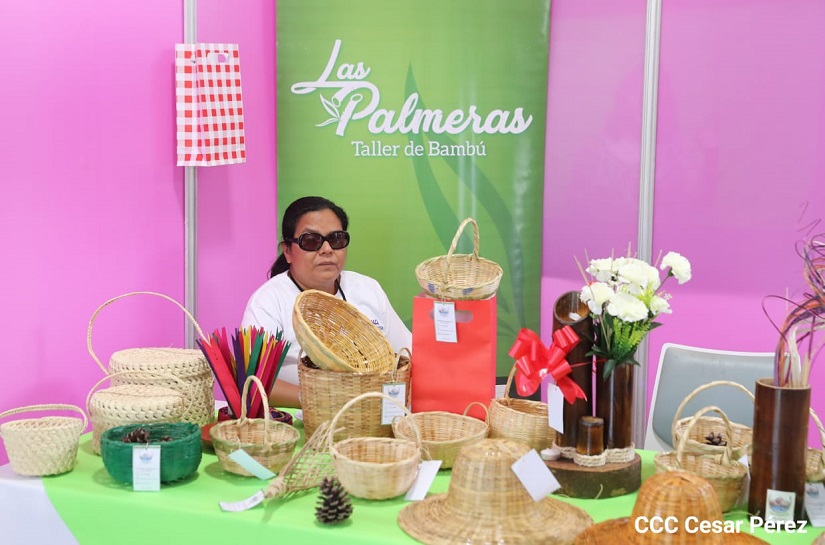 EMPRENDIMIENTOS