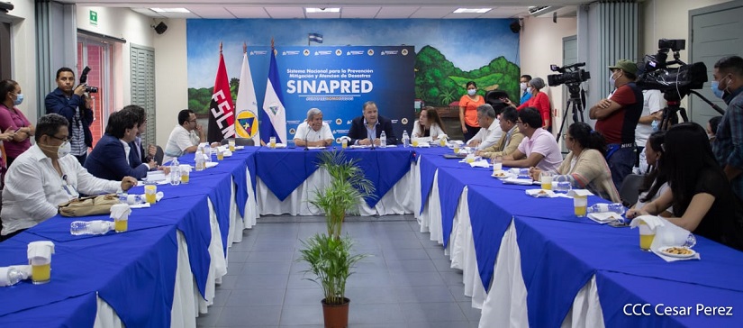 SINAPRED1