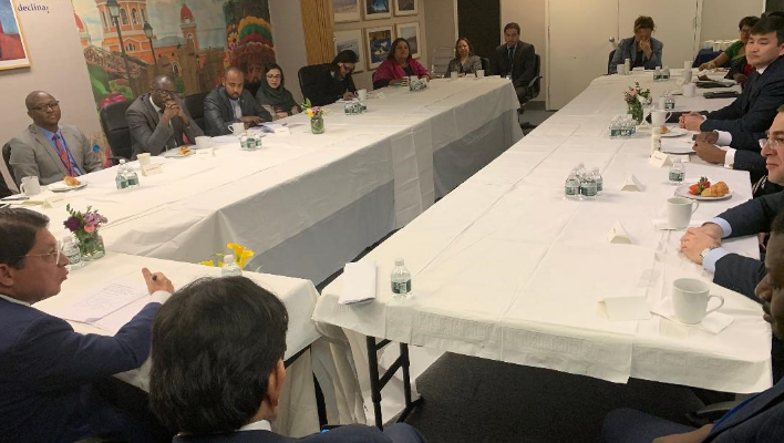 canciller-onu