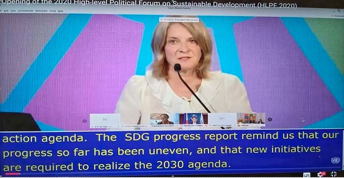 ecosoc-foro-