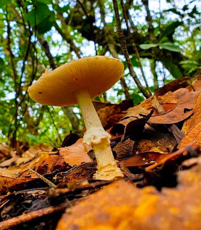 cerro-apante-matagalpa-nicaragua