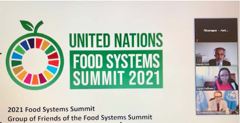 preparativos-cumbre-mundial-alimentos