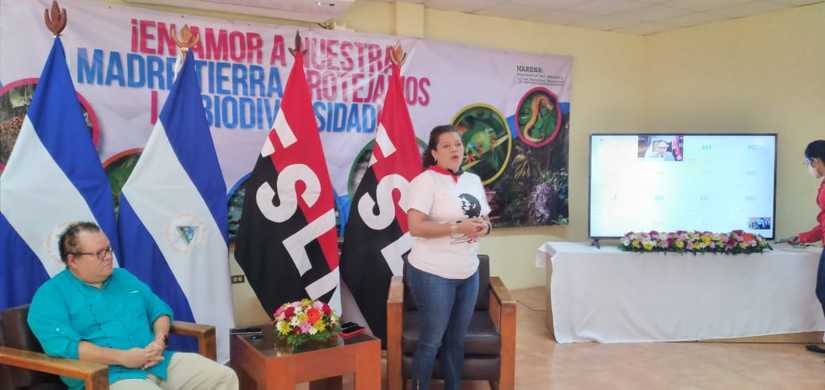 marena