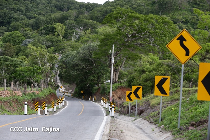 ESTAZUELA2