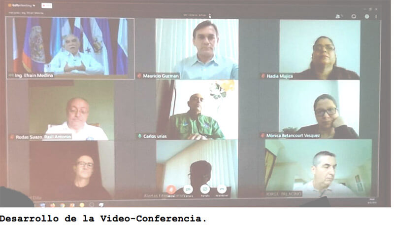 reunion-virtual-ipsa-oirsa