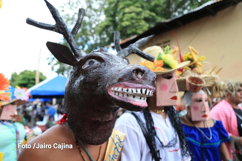 toro-venado-masaya