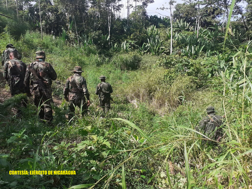 ejercito-quema-plantas-marihuana