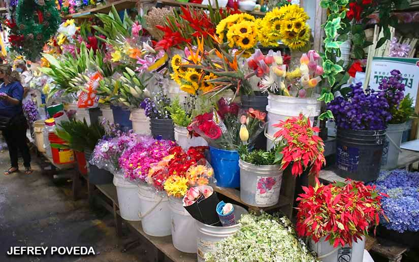 MERCADO