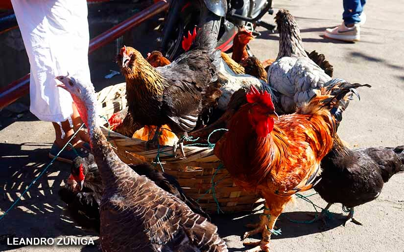 mercados