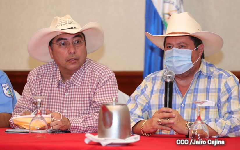 hipicos