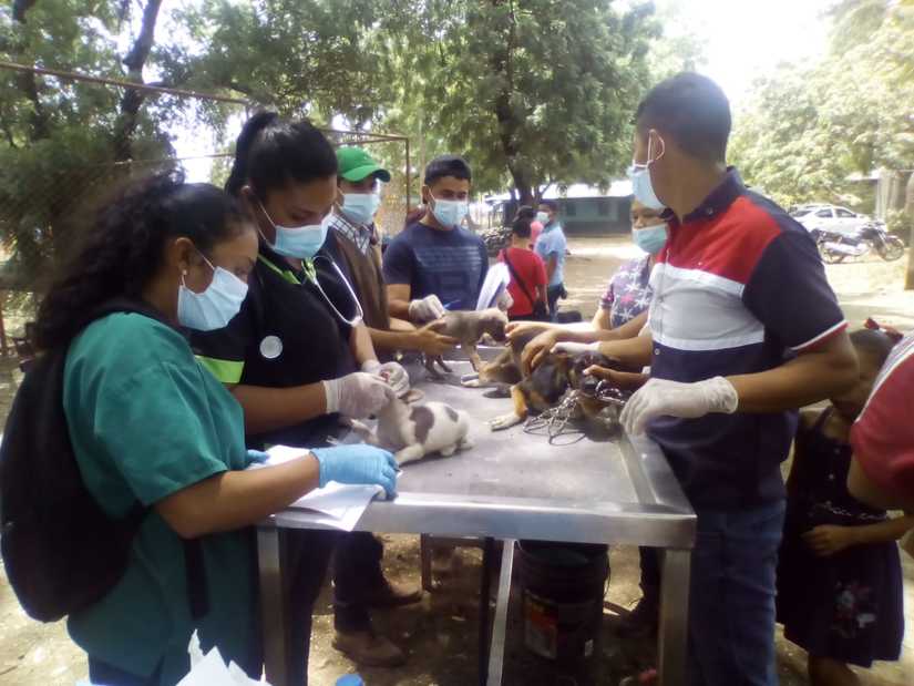 universidad-campo