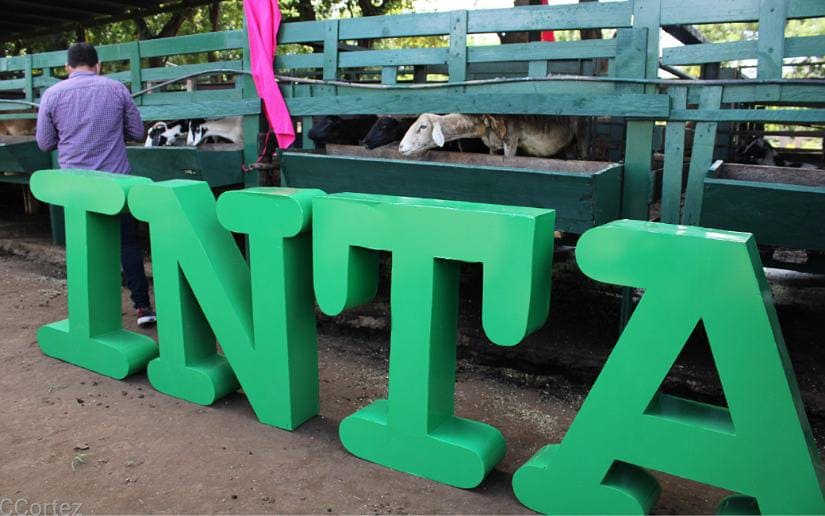 INTA