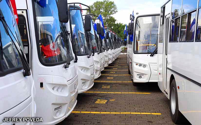buses