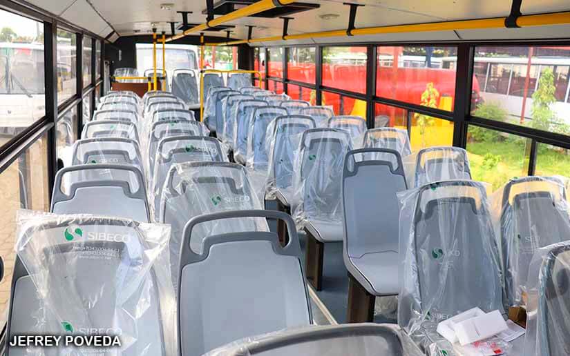 buses