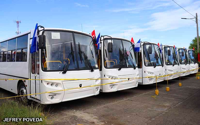 buses