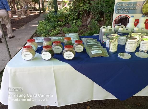 marango