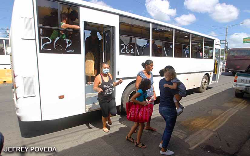 BUSES