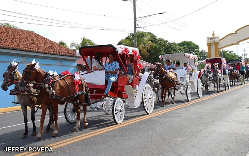 hipico