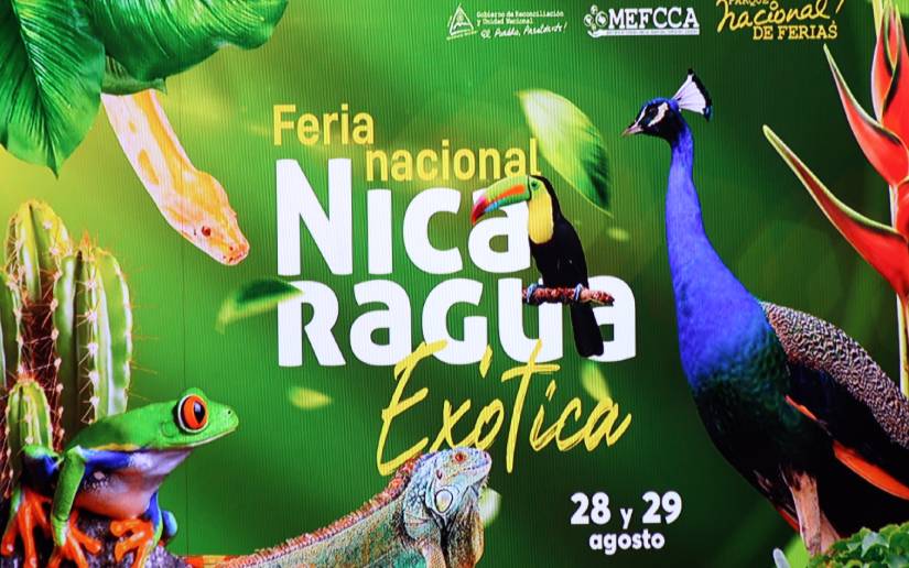 animales