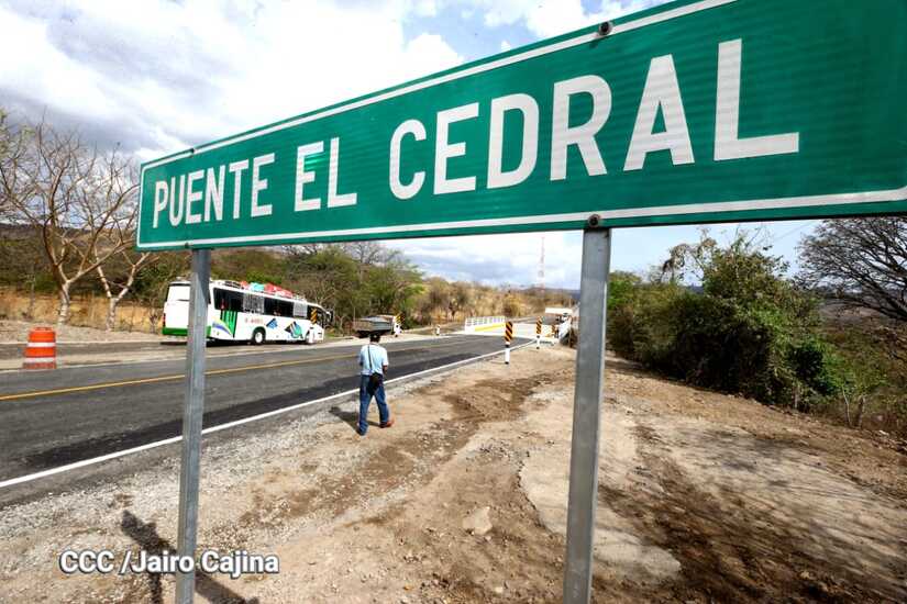 cedral