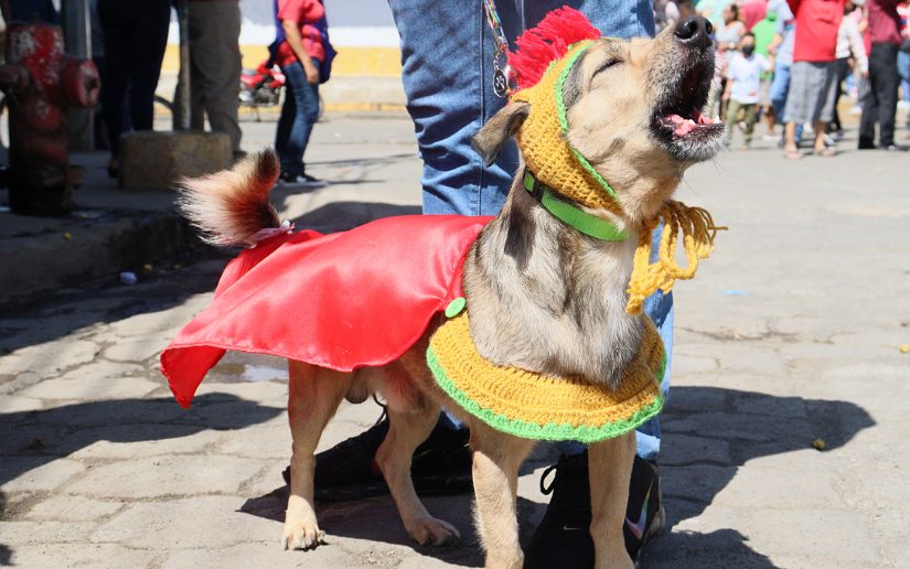 masaya