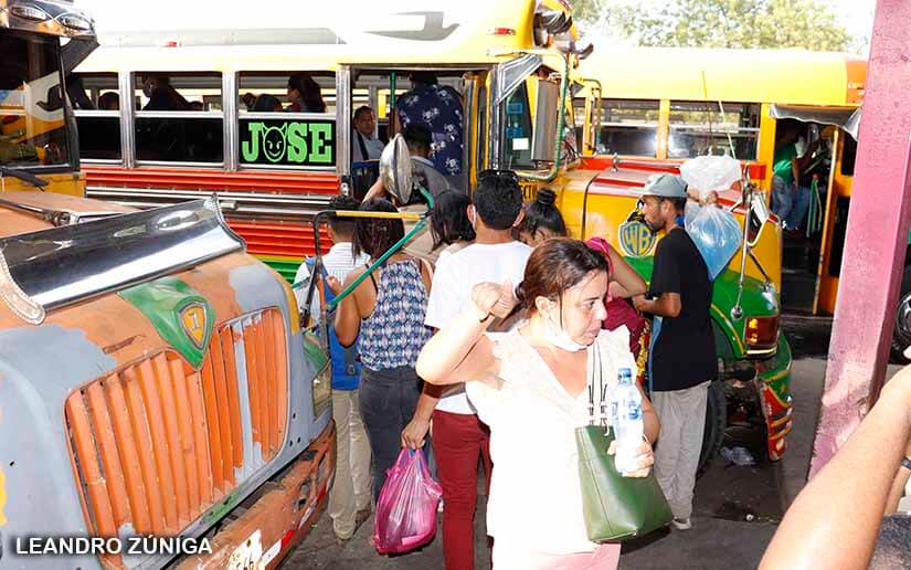 terminales-buses