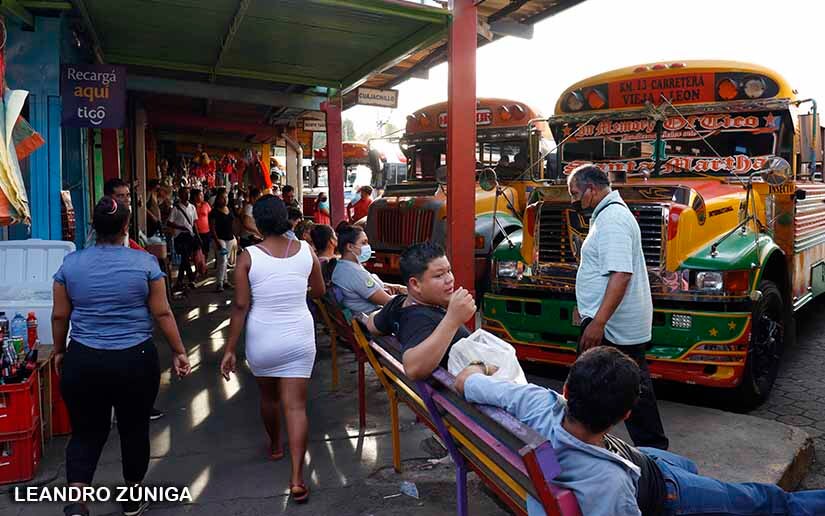 terminales-buses