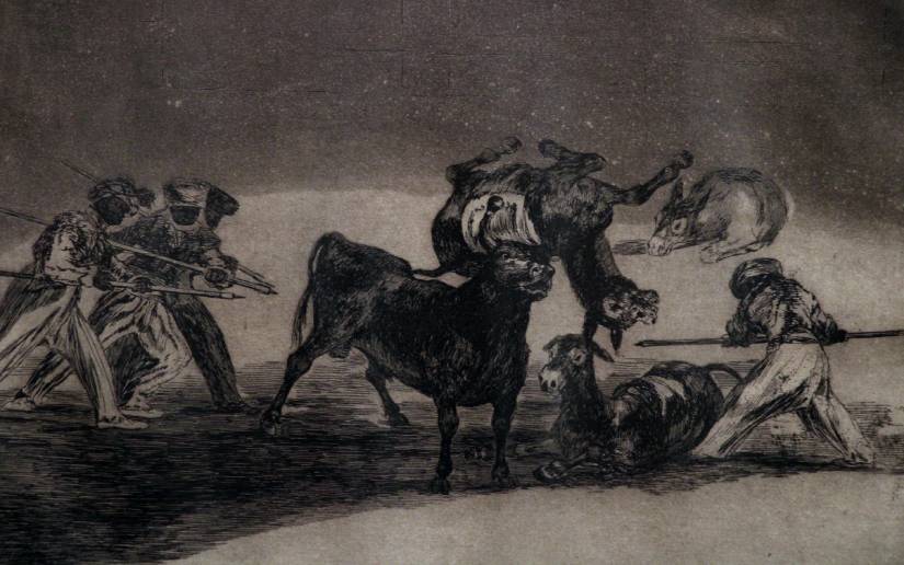 tauromaquia