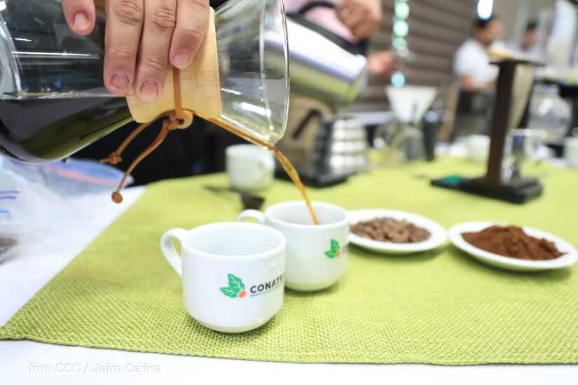 cafe