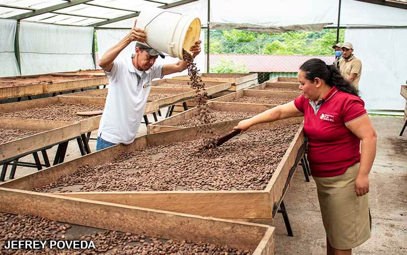 CACAO