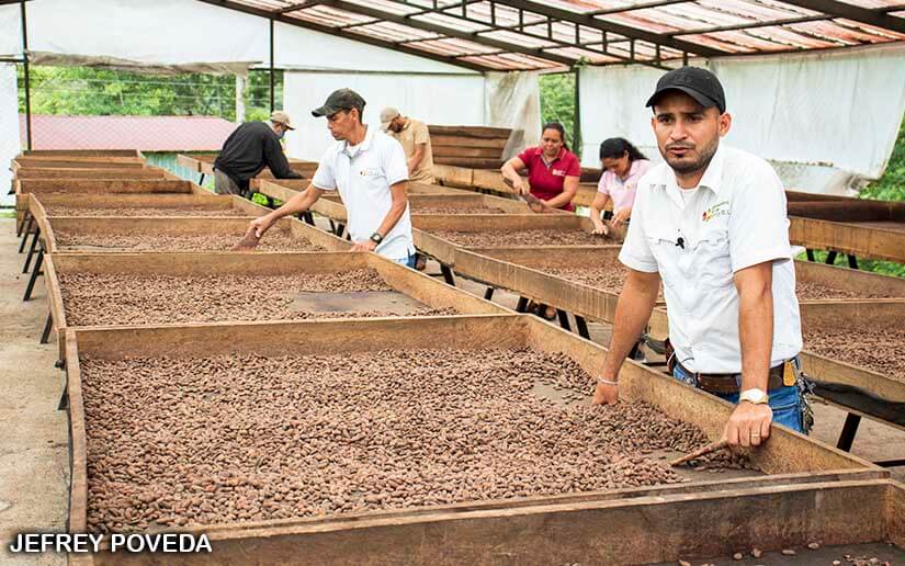 CACAO