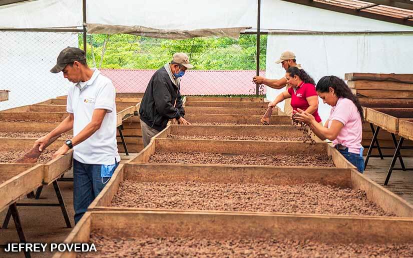 CACAO