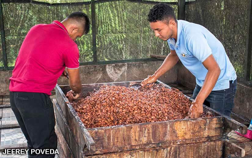 CACAO