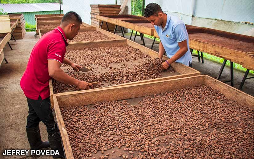 CACAO