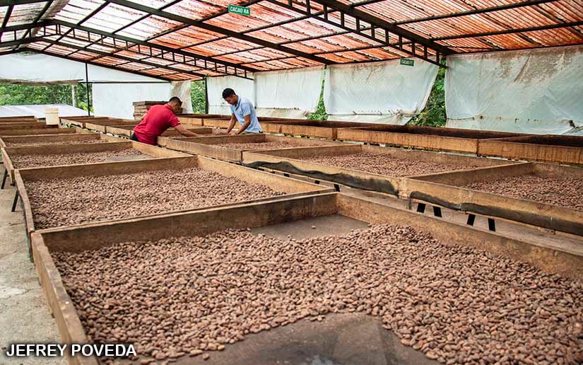 CACAO