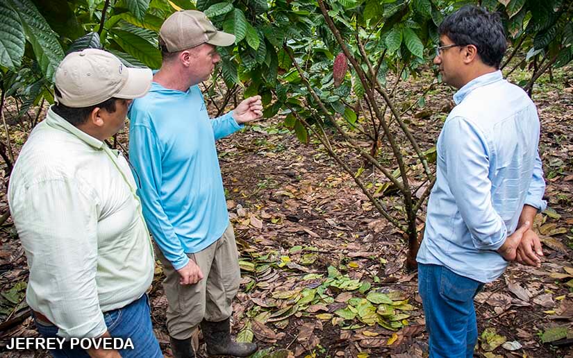 CACAO