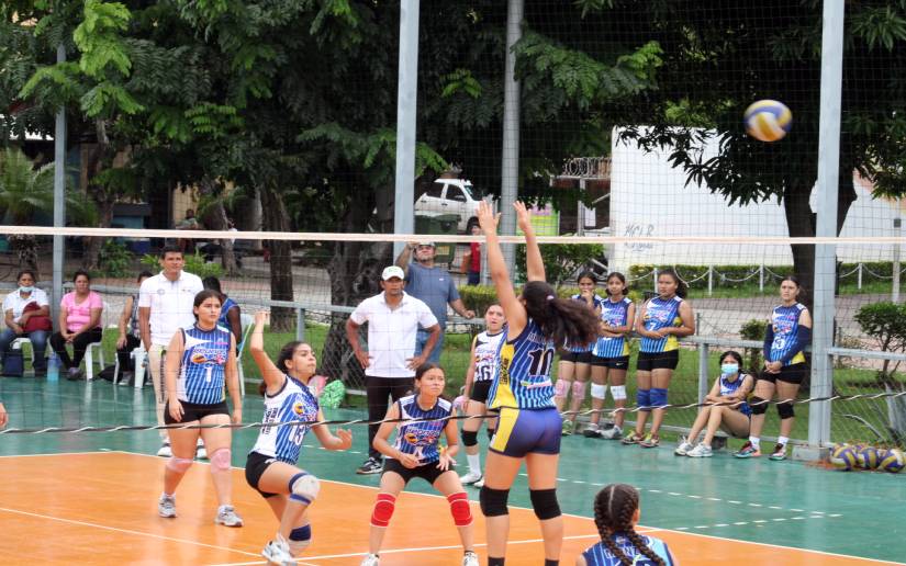 Voleibol