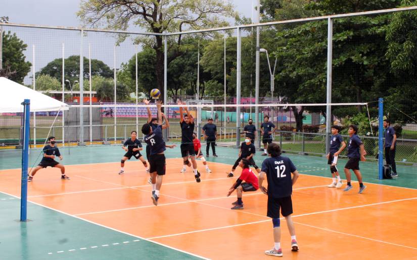 Voleibol