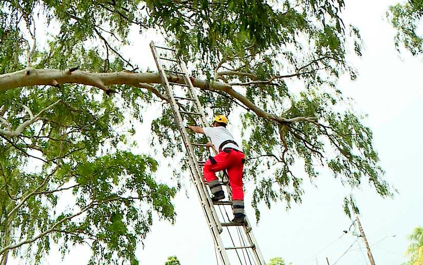 bomberos