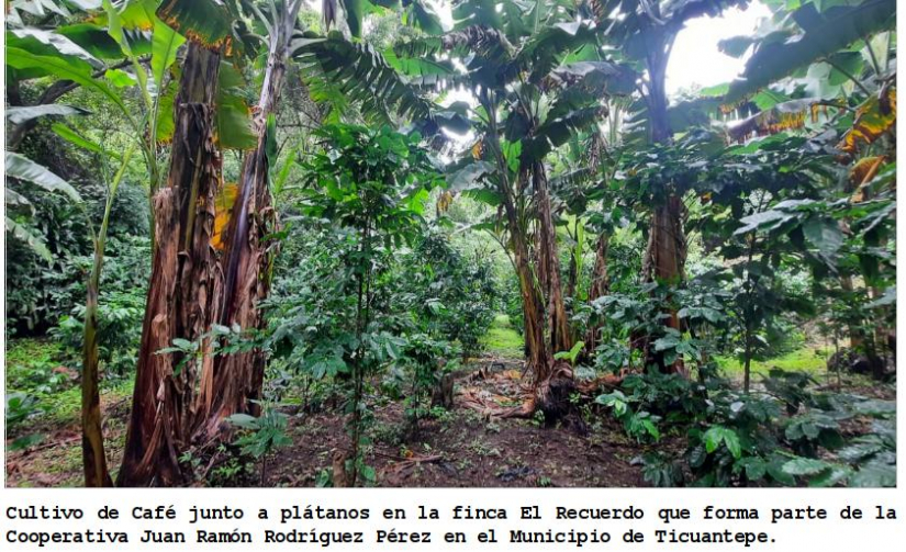 ticuantepe