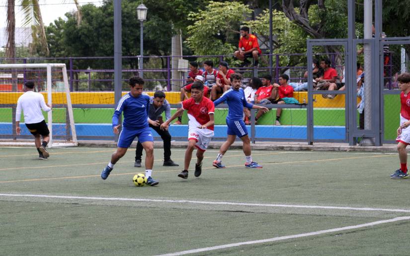 universitario