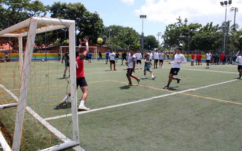 universitario