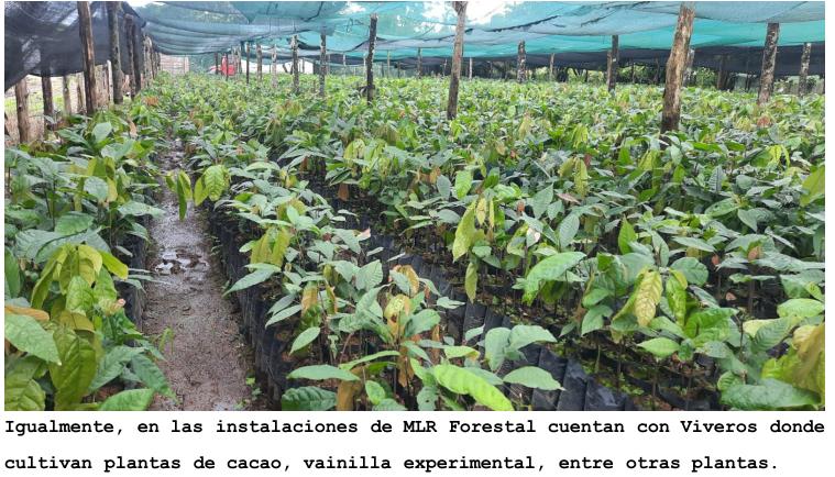 forestales