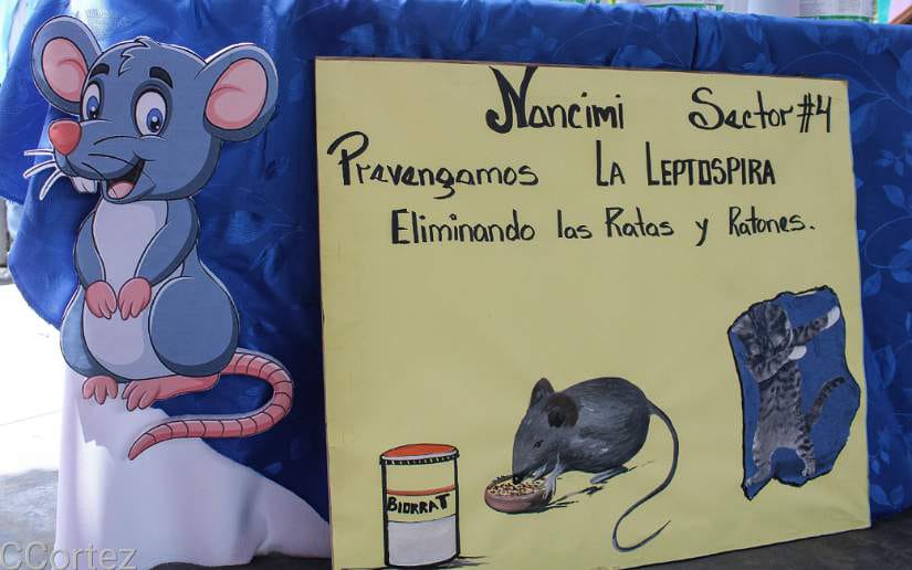 biorat